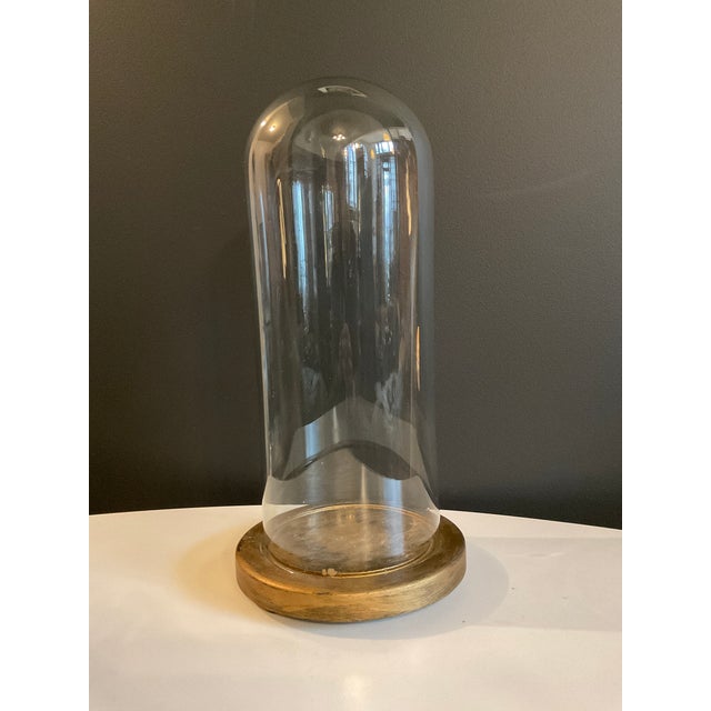 Antique Hand Blown Glass Cloche With Wooden Stand | Chairish