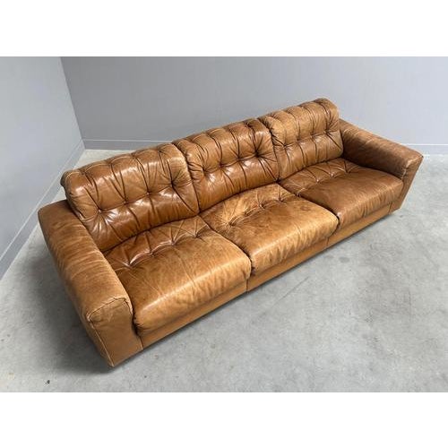 DS40 Sofa by Robert Haussmann for de Sede, 1970s For Sale - Image 6 of 16