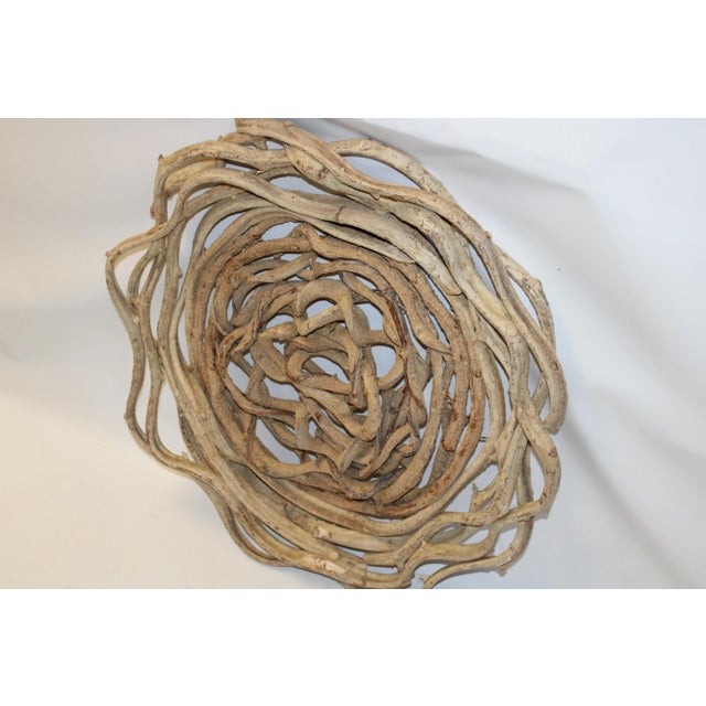 Vine Disc Organic Wall Art Med. B For Sale - Image 11 of 13