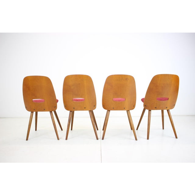Wood Dining Chairs attributed to Frantisek Jirak for Tatra, 1960s, Set of 4 For Sale - Image 7 of 15