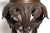 Grand Tour Grand Tour Pompeii Table or Pedistal 19th Century For Sale - Image 3 of 9