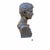 Vintage Italian Grand Tour Bronze Bust of Julius Augustus Caesar For Sale - Image 10 of 10