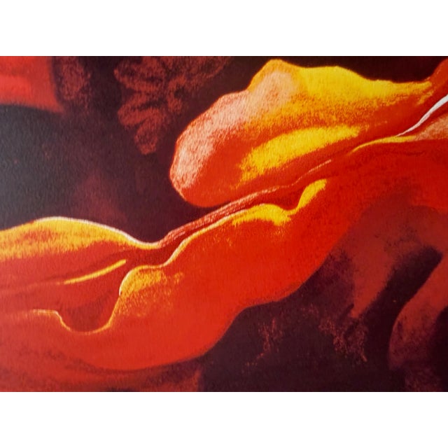 Georgia Okeeffe, Oriental Poppies, Print For Sale - Image 4 of 6