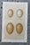 English Set of 8 English Late 19th Chromolithographs of Bird Eggs For Sale - Image 3 of 10