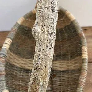 Contemporary 1980s Rustic Gathering Basket with Bentwood Handle For Sale - Image 3 of 13