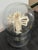 Taxidermy Mantis Shrimp in Case For Sale In San Francisco - Image 6 of 12