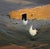 Long, Long Way From Home by Jann T. Bass | Oil Painting of two white chickens near a barn For Sale