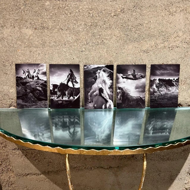 Vintage Cavalia Set of Five Post Card Prints Black and White Canada For Sale In San Diego - Image 6 of 8