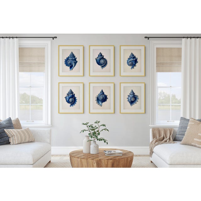 Set of 6 – Blue Seashell Collection | Coastal Natural History Fine Art Prints A refined collection of six Blue Seashell...
