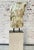 Greek Roman Marble Torso Sculpture on Iron Stand, 20th Century, Italy For Sale - Image 18 of 18
