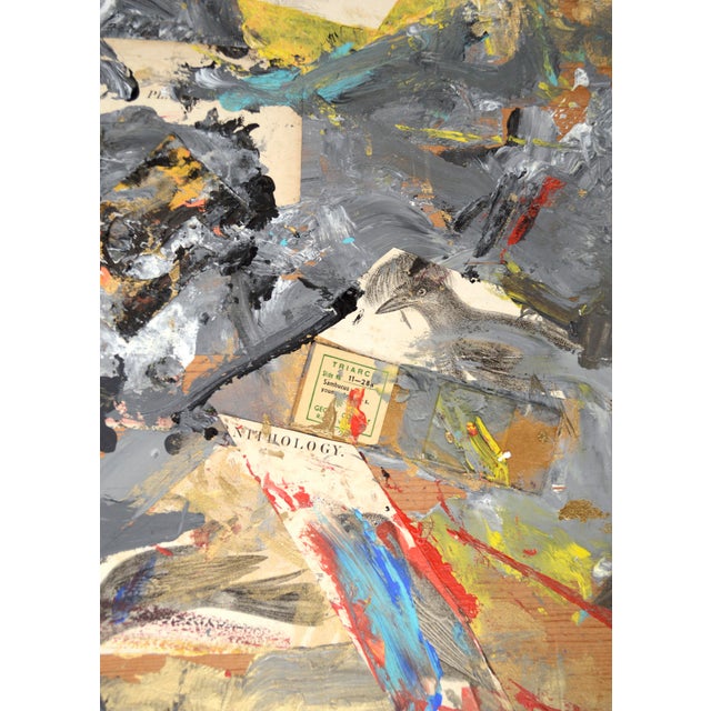Assemblage #5 (Ornithology Illustrations & Glass Slide With Silver, Gold Paint) by Michael Pauker For Sale - Image 4 of 10