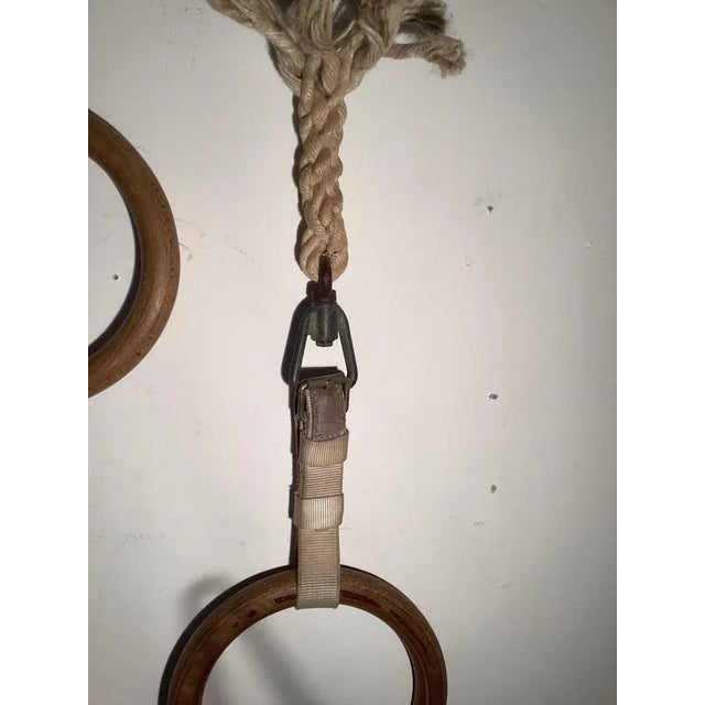 Sport Gymnastic Rings, Set of 2 For Sale - Image 4 of 5