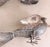 1950s French Sterling Silver Peacocks - a Pair For Sale - Image 12 of 18