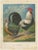 Christian Förster, The Noble Dorking Chicken, 1888, Lithograph, Print For Sale - Image 10 of 10