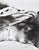 Christian Bauer, Nude, Rafi, 1990s, Ink & Pencil For Sale - Image 6 of 11