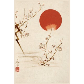 19th Century Sun and Plum Branches Japanese Botanical Fine Art Print by Shibata Zeshin — 8" X 12" For Sale