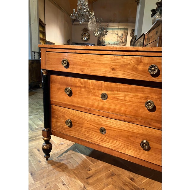 Antique Italian Empire Cherrywood Chest of Drawers with Ebonized Columns, 1800s For Sale - Image 6 of 13