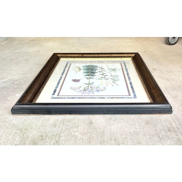 1980s Walter Hood Fitch Lilium Washingtonianum, Washington Lily Large Framed Print For Sale In Dallas - Image 6 of 8