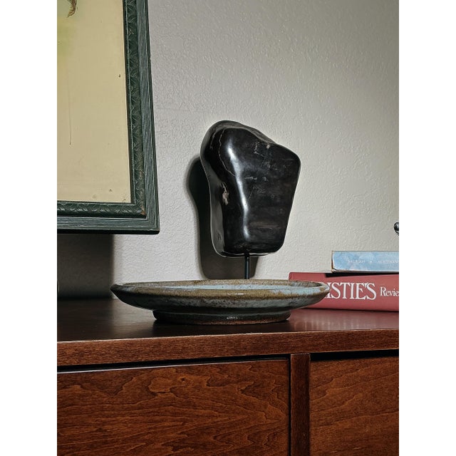 Mid-Century Modern Mid 20th Century Petrified Wood Specimen on Metal Stand – Natural Stone Display – 10.5” H For Sale - Image 3 of 11