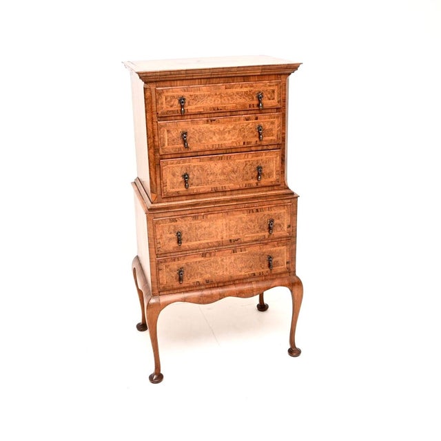 Antique Burr Walnut Chest on Chest of Drawers, 1890 For Sale - Image 10 of 10