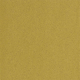 Harlequin Foxy Wallpaper in Citrus For Sale