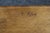 Ethan Allen American Maple King Size Bootjack Headboard For Sale - Image 10 of 10