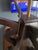 Wood 1910 Slag Glass Mission Lamp For Sale - Image 7 of 8