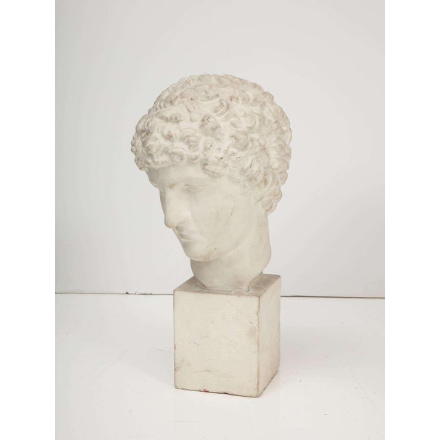 Plaster Bust For Sale In New York - Image 6 of 7