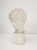 Plaster Bust For Sale In New York - Image 6 of 7