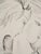 Mily Possoz, Young Women with a Parakeet, Original Signed Engraving For Sale - Image 4 of 9