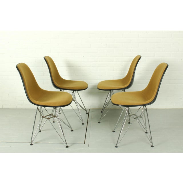 Black Yellow DSR Dining Chairs by Charles & Ray Eames for Herman Miller, 1960s, Set of 4 For Sale - Image 8 of 13