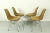 Black Yellow DSR Dining Chairs by Charles & Ray Eames for Herman Miller, 1960s, Set of 4 For Sale - Image 8 of 13