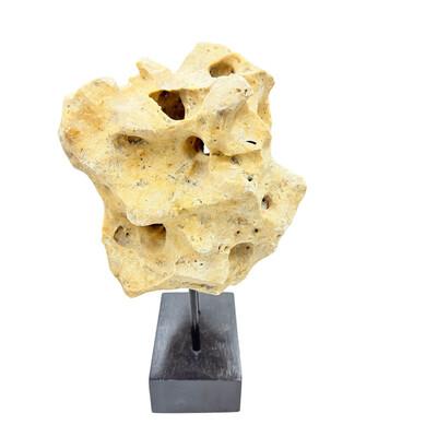 Indonesian Coral Stone On Teak Stand For Sale - Image 4 of 5