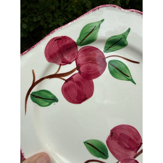Farmhouse Vintage Blue Ridge Southern Potteries Hand-Painted "Crab Apple" Square Salad Plate For Sale - Image 3 of 8