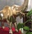 Brass Elephant "Trunks Up" Good Luck Vintage Large Statue For Sale - Image 4 of 10