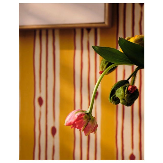 The opening track of the 1987 Still Life (Talking) album by the Pat Metheny Group, Minuano alludes to the fashion trends...