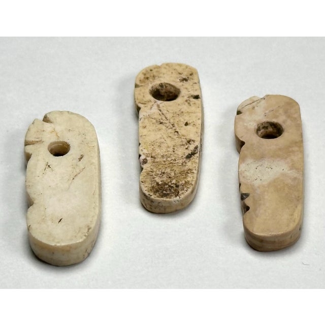Pre-Columbian Taino Shell Amulets: Zoomorphic Zemi Beads For Sale - Image 6 of 9