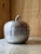 Silver Mid-Century Modern Italian Aluminum Apple Ice Bucket with Textured Stem, 1960s For Sale - Image 8 of 14