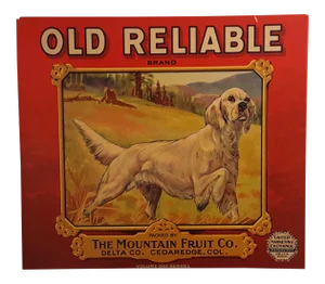 Old Reliable Brand Apple Crate Label C.1930