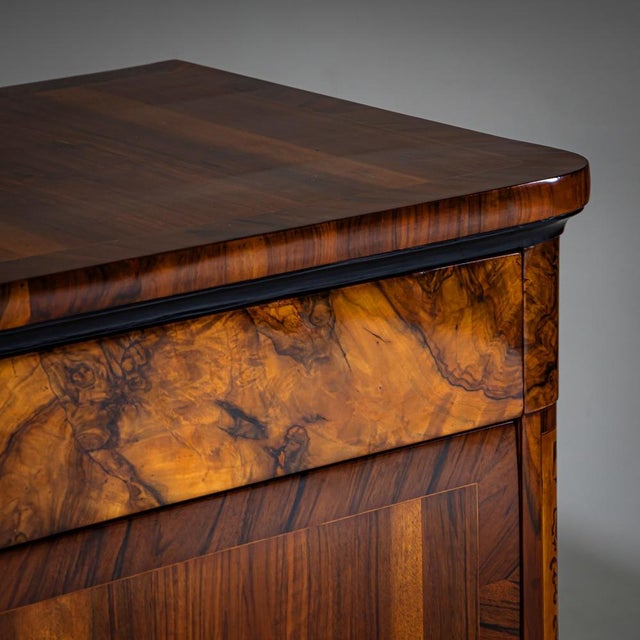 Maroon Chests of Drawers, Italy, 19th Century, Set of 2 For Sale - Image 8 of 10