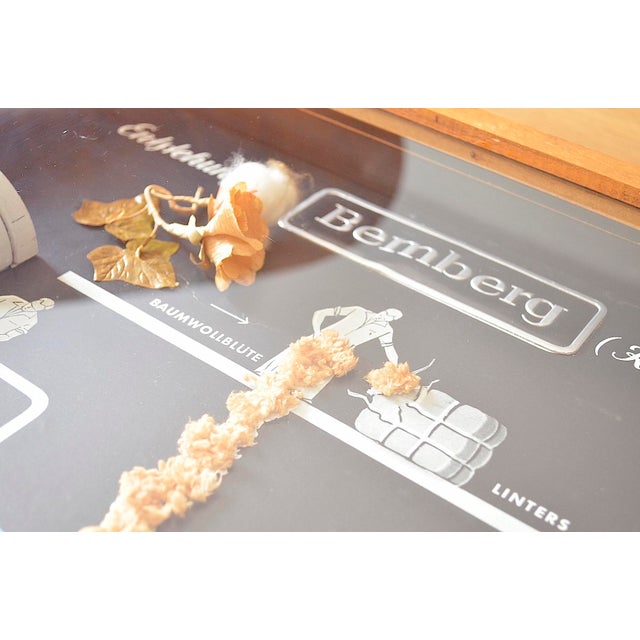 Industrial Showcase from Bemberg Textil, 1950 For Sale - Image 9 of 14