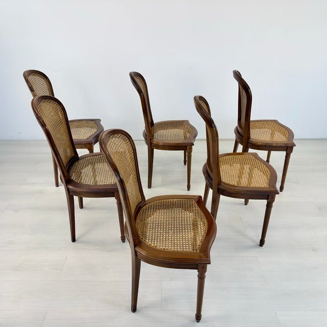 Louis XVI Style Dining Chairs - Set of 6 For Sale In New York - Image 6 of 9