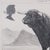 1980s Vintage Stamp Proof Sketch, English, Barry Driscoll, Welsh Black Bull, Framed For Sale - Image 5 of 10