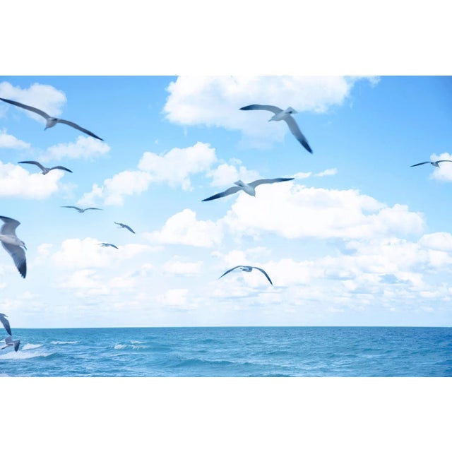 Contemporary "Seagulls Flying over the Ocean" Landscape Photograph For Sale - Image 3 of 3