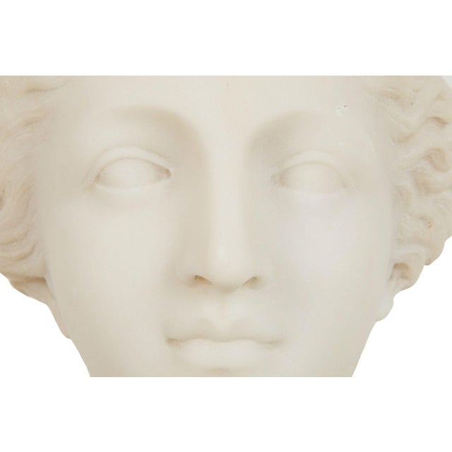 Italian Grand Tour Carved Alabaster Bust of Venus of Milo, 20th Century For Sale - Image 17 of 18