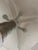 Pipistrello Table Lamp by Gae Aulenti for Martinelli Luce For Sale - Image 5 of 9