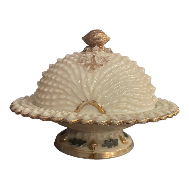Antique Northwood Glass Company Nautilus (Argonaut Shell) Pattern Custard Glass Covered Butter Dish C. Early 1900's For Sale