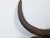 Brown English 1930s-1940s Cast Iron Bull Wall Hanging Sculpture with Rusty Patina For Sale - Image 8 of 11