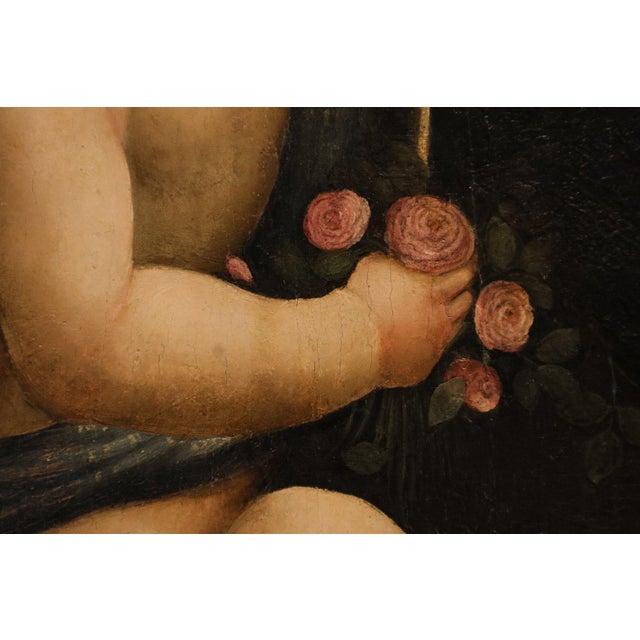 Workshop of Marco Palmezzano, Saint John the Baptist as a Child, 16th Century, Oil Painting on Panel For Sale - Image 9 of 15