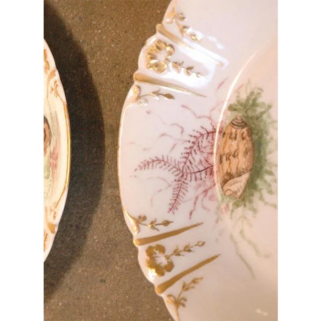 Ceramic Antique Shell Decorated Dishes - Set of 6 For Sale - Image 7 of 9